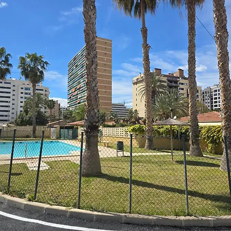 Flores Villa Alicante